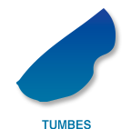 Construccion_tumbes